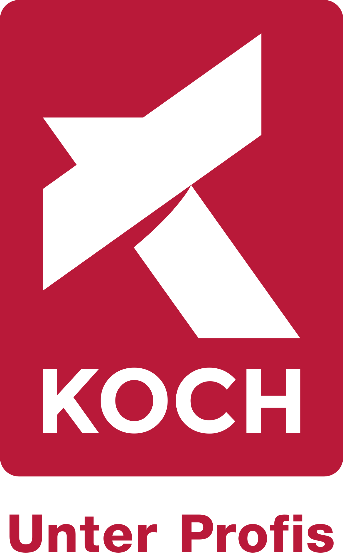 Koch Group